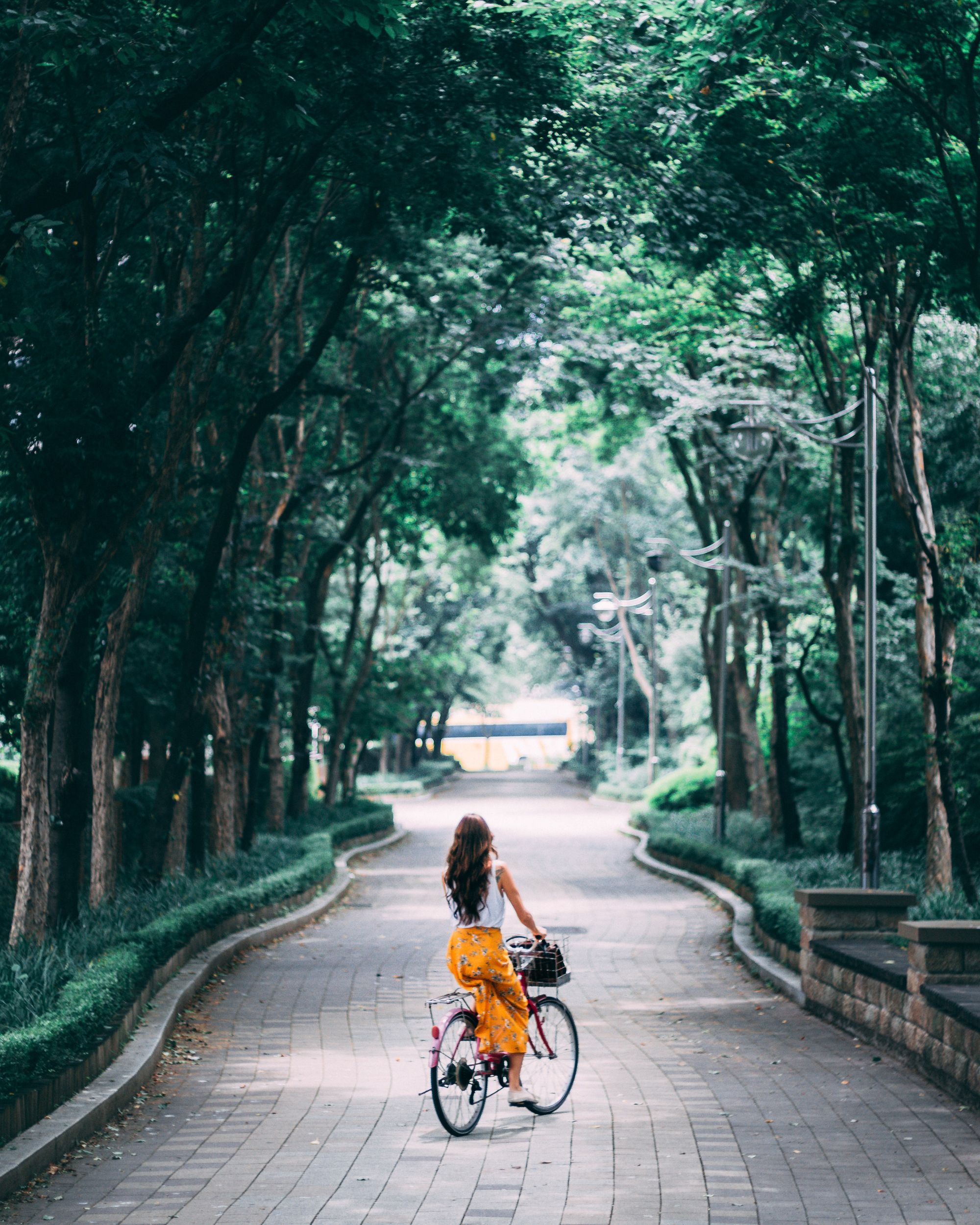 Woman riding bike on curving, tree-lined pathway in city