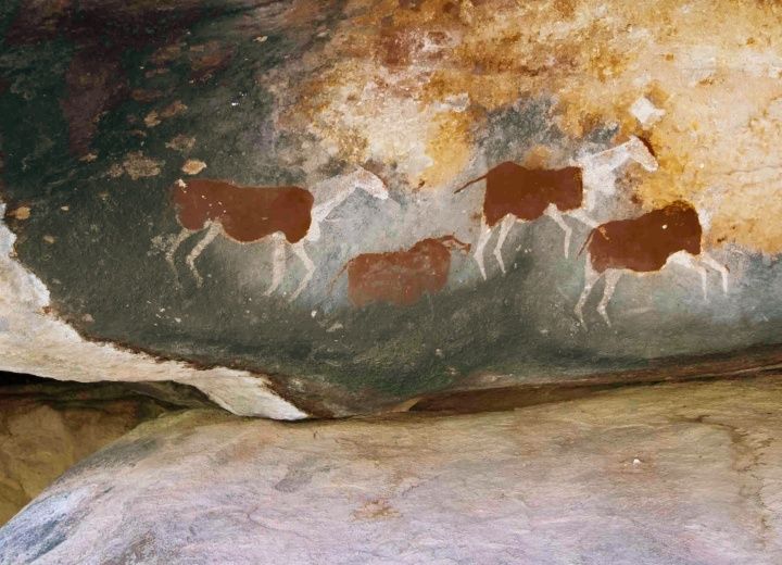 Cave paintings of horses with hematite red coloring