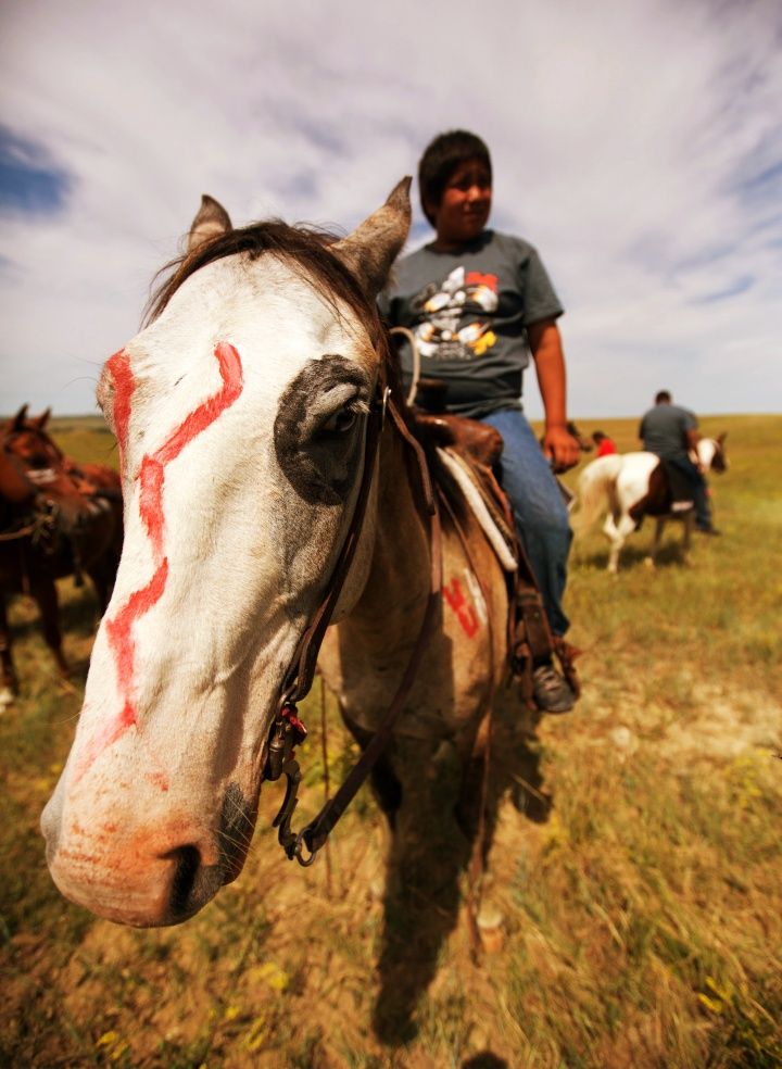 Red war paint on a horse similar to hematite powder paint